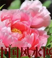 广安预示你财运上升，姻缘可成的梦境，快来看看吧！