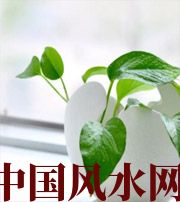 广安家中摆放六种吉祥物，会打开您的财运大门！