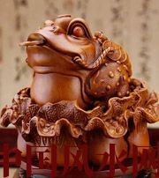 广安解读金蟾最合适的位置，这样摆放更招财！
