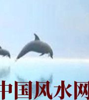 广安做梦梦到这些，是要富裕的征兆！